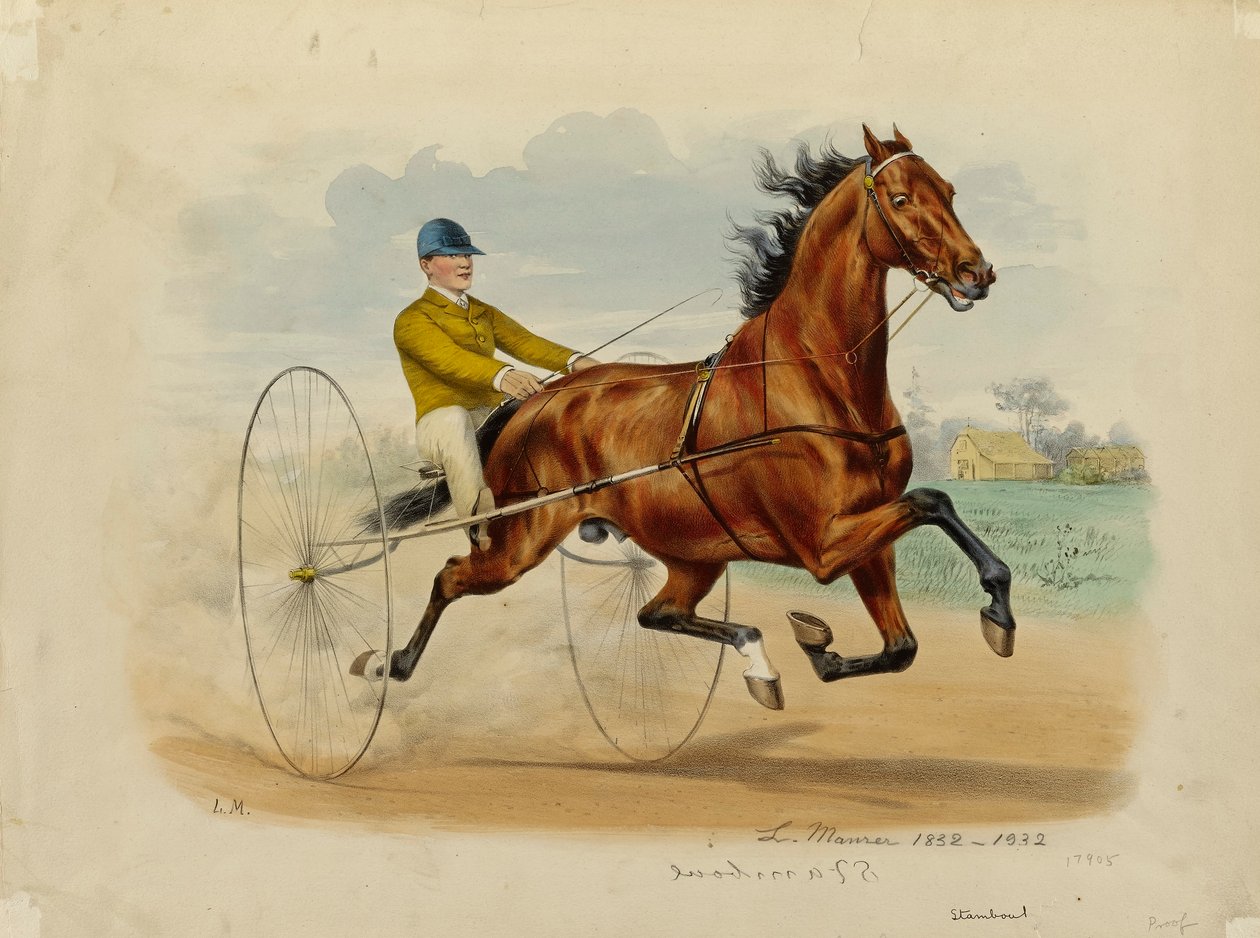 Stamboul od Louis Maurer