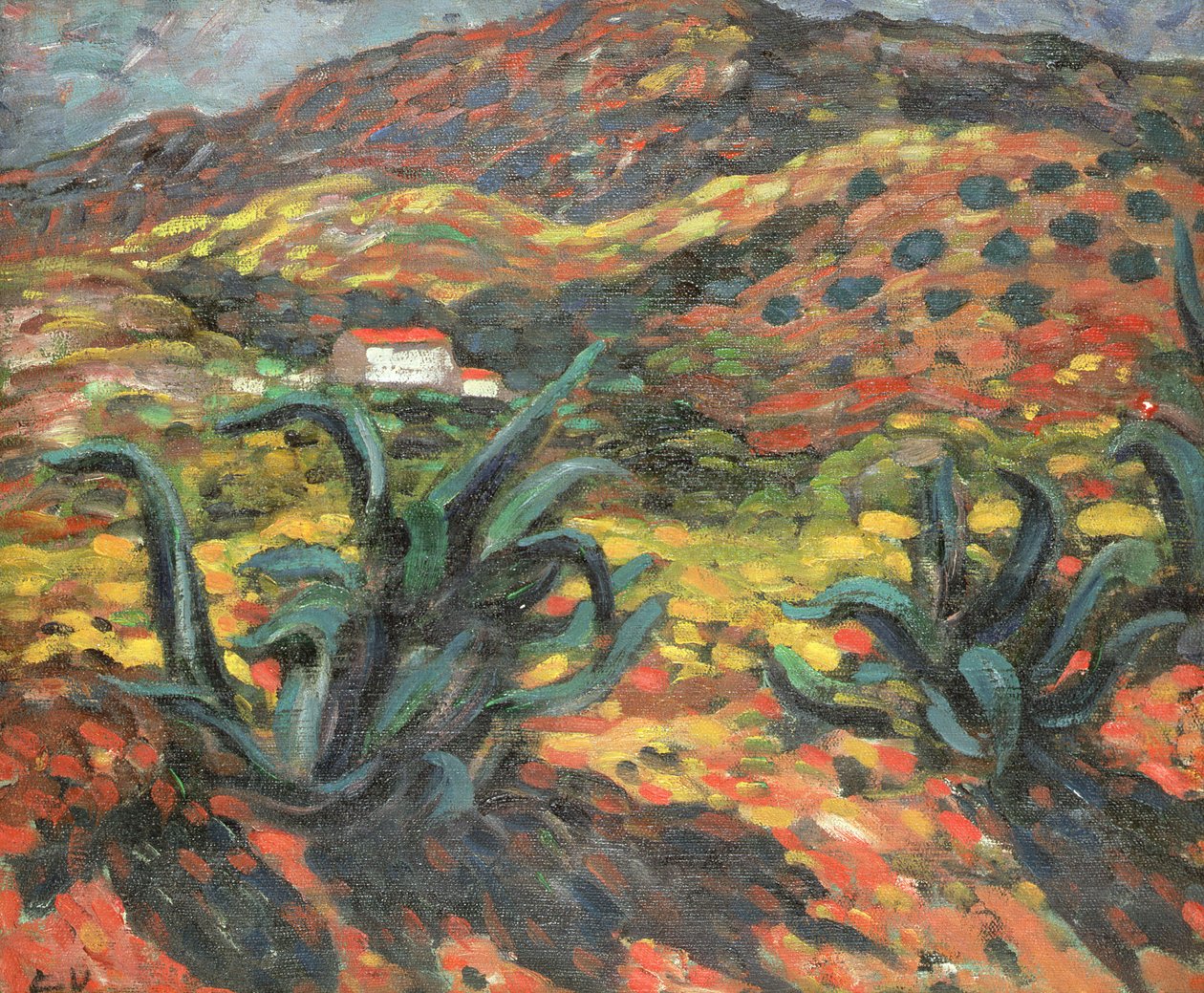 Agáve od Louis Valtat