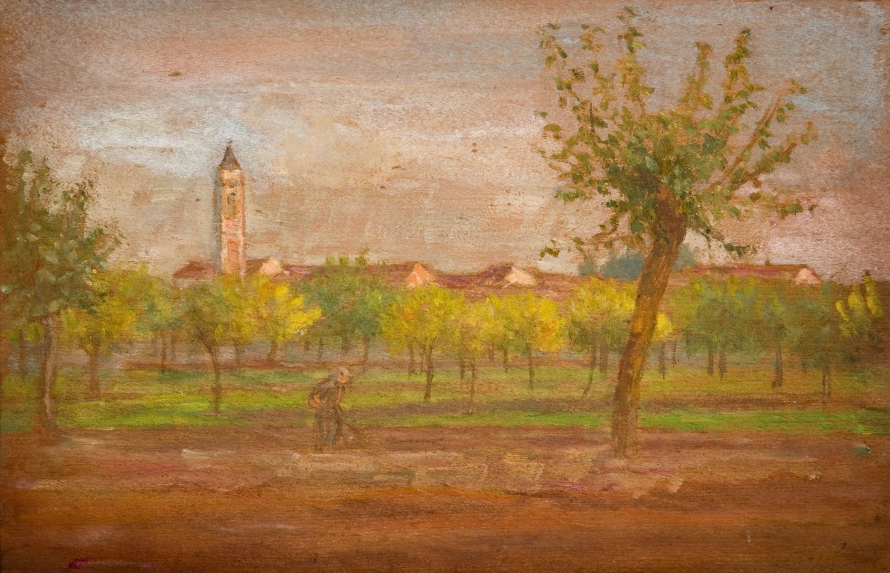 Vesnice Cairate, Lombardie, 1877. od Louisa Starr