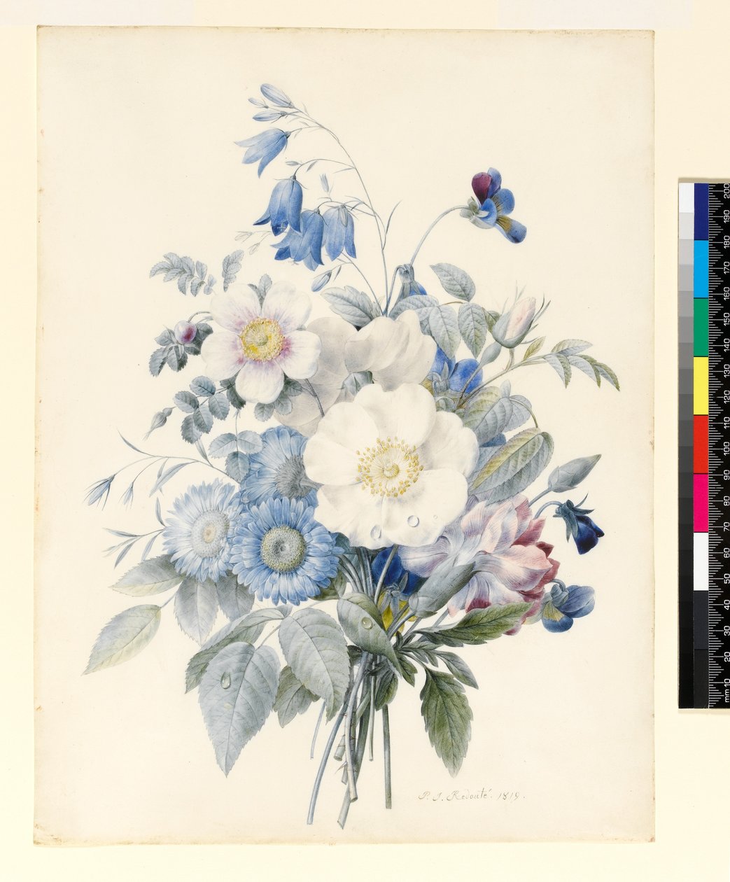 PD.847-1973 Spray of Summer Flowers, 1820 (wc und kvaš na pergamenu) od Louise DOrleans