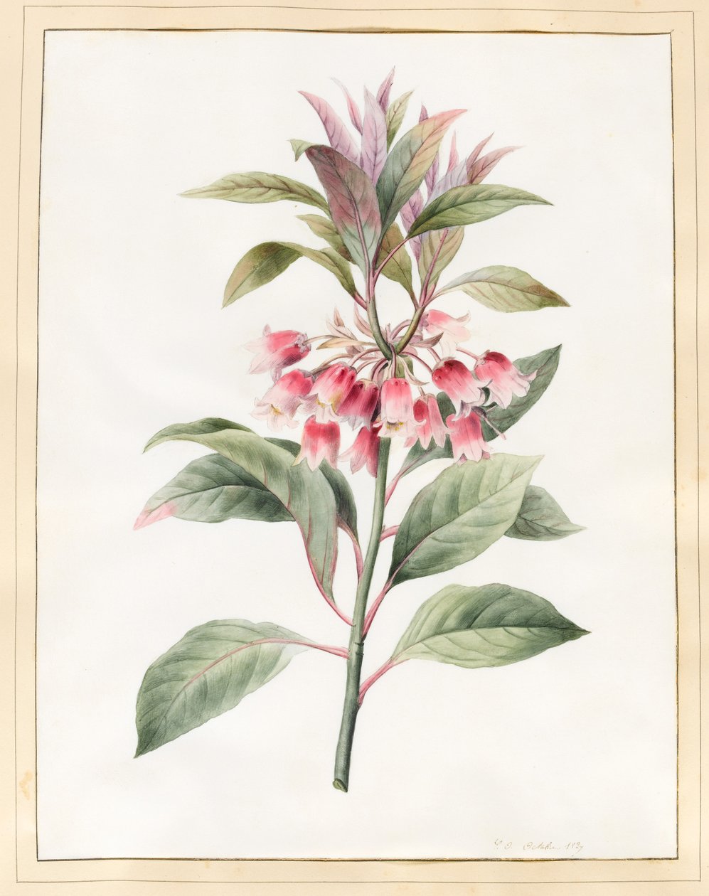 Bezejmenný, 1827 (wc na pergamenu) od Louise DOrleans