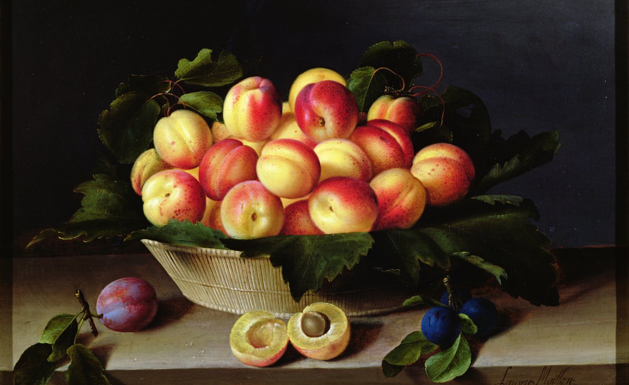 Košík meruněk, 1634 od Louise Moillon