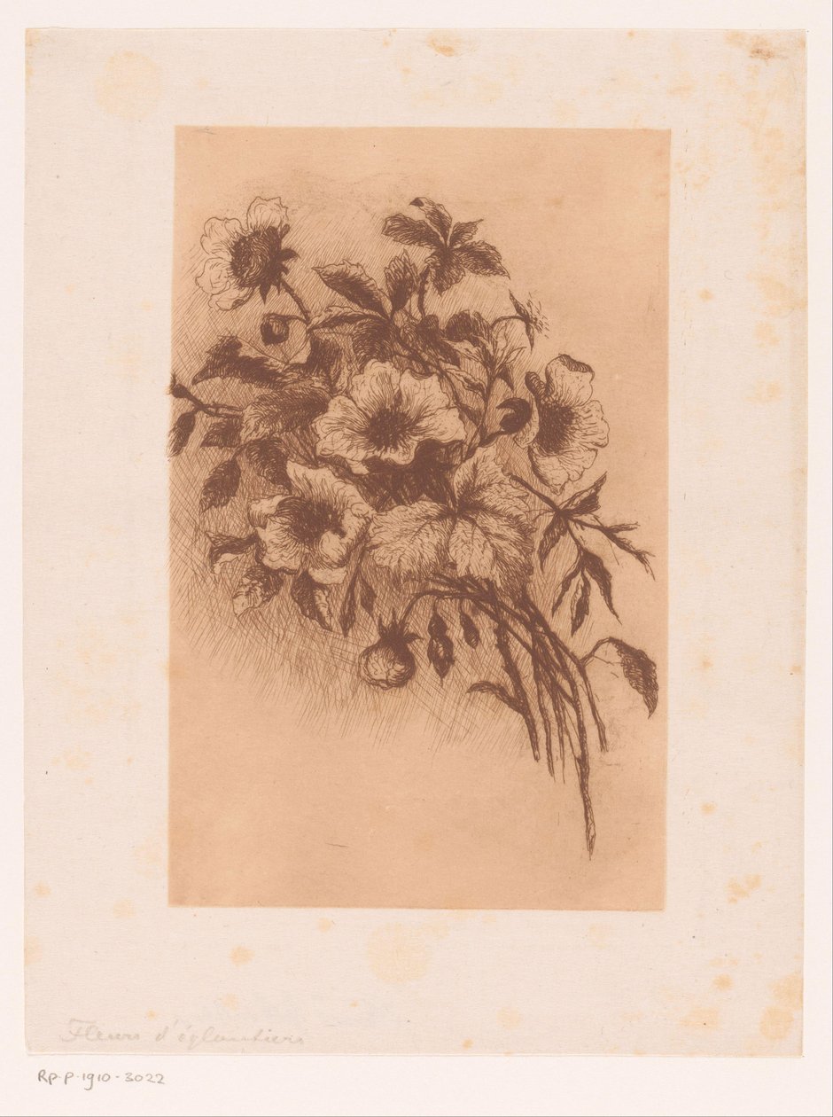 Květiny od Louise Elsen (attributed to)