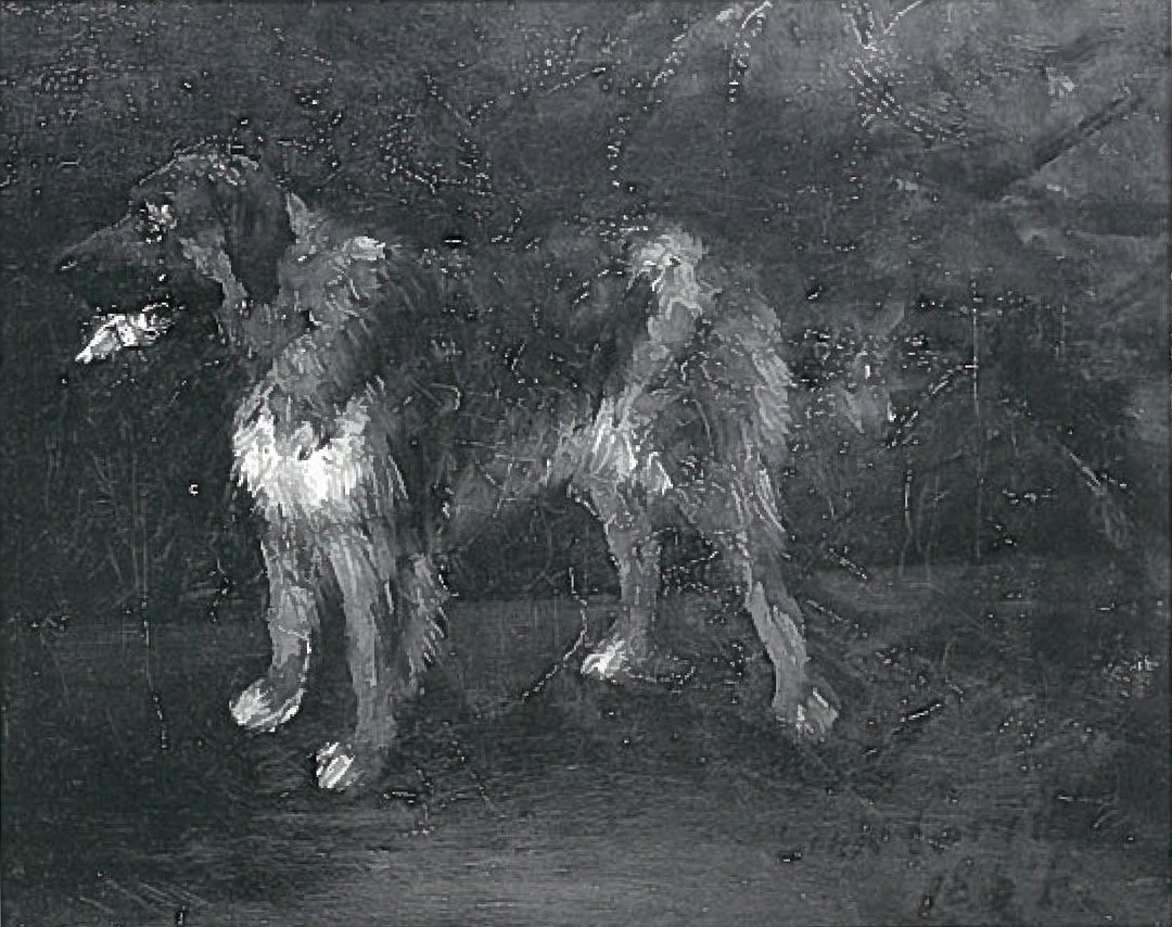 Studie psů od Lovis Corinth