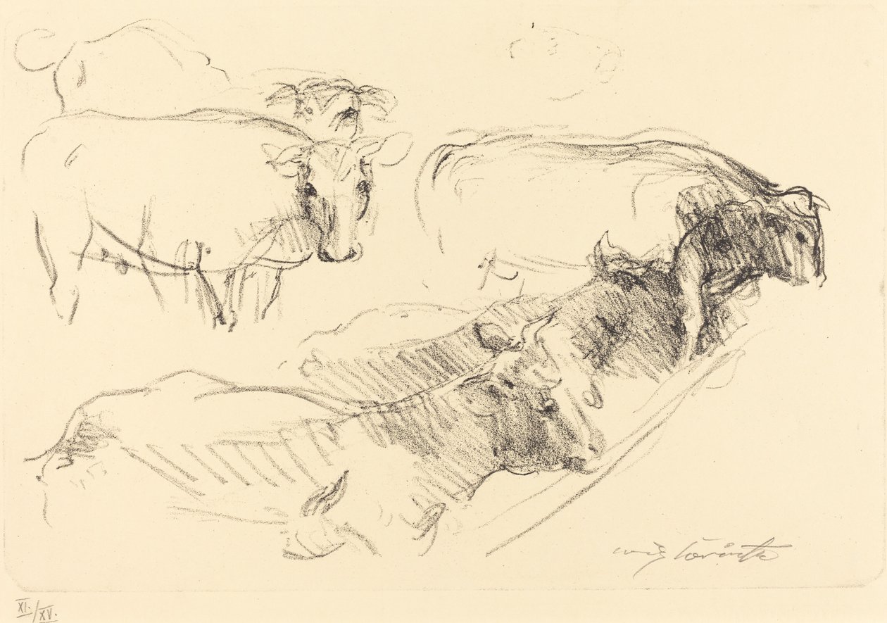 krávy od Lovis Corinth