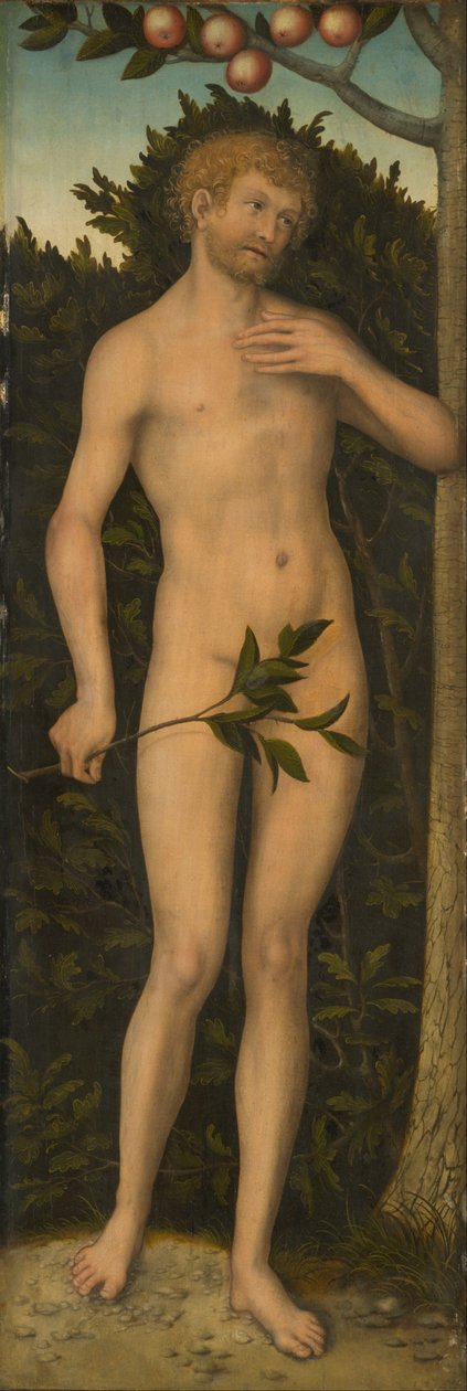 Adam od Lucas Cranach the Elder