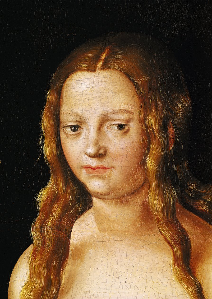 Adam a Eva, detail Eviny hlavy (detail 159264) od Lucas Cranach the Elder