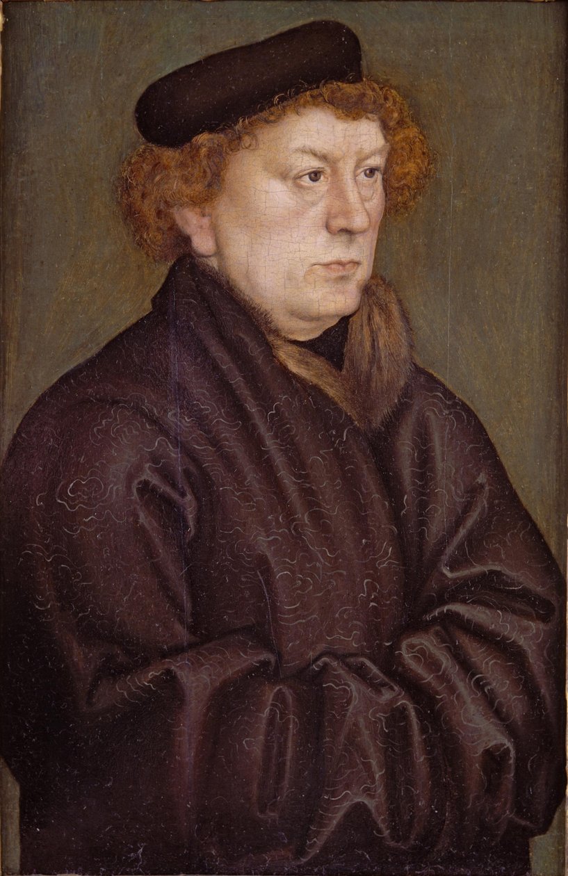 Portrét učence od Lucas Cranach the Elder