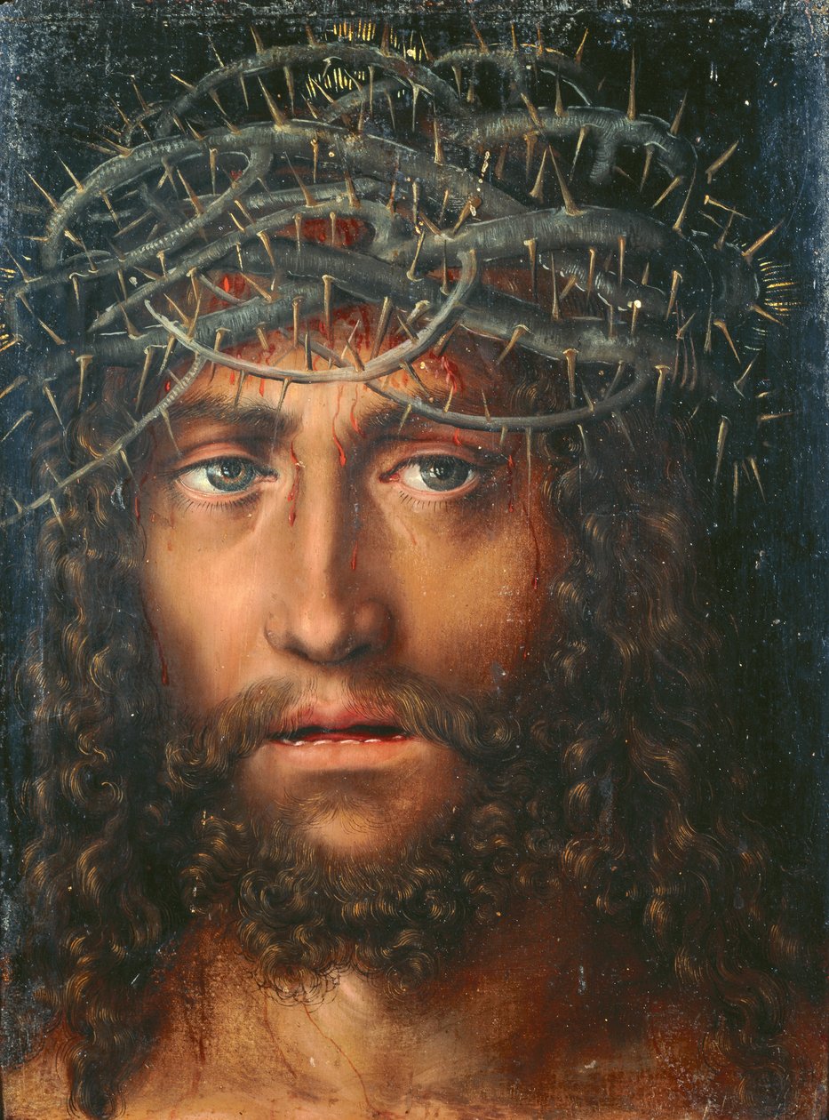 Hlava Krista korunovaná trny od Lucas Cranach the Elder