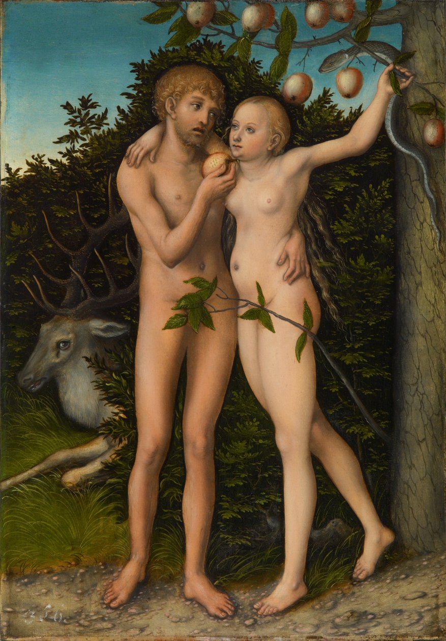 Pád člověka od Lucas Cranach the Elder