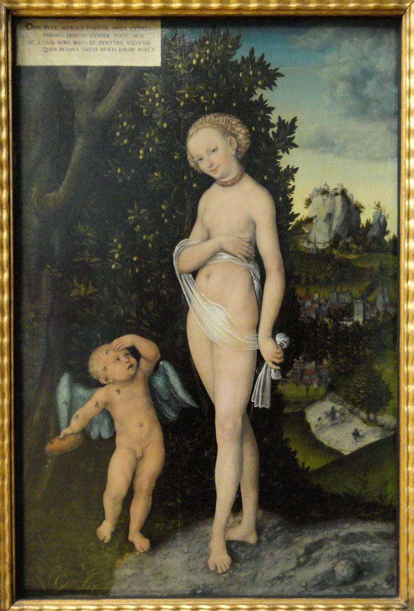 Venuše a Amor, zloděj medu od Lucas Cranach the Elder