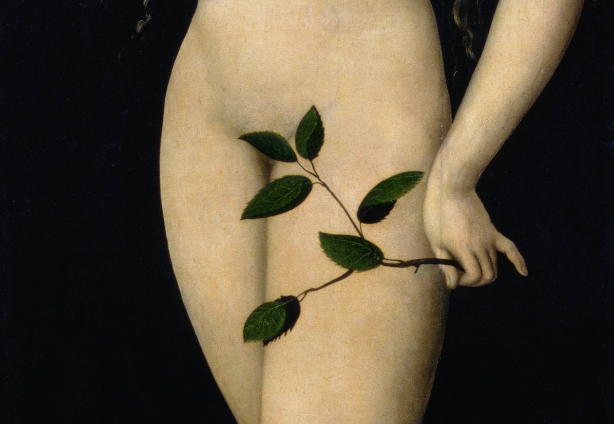 Eva, 1528 (detail 9629) od Lucas Cranach the Elder
