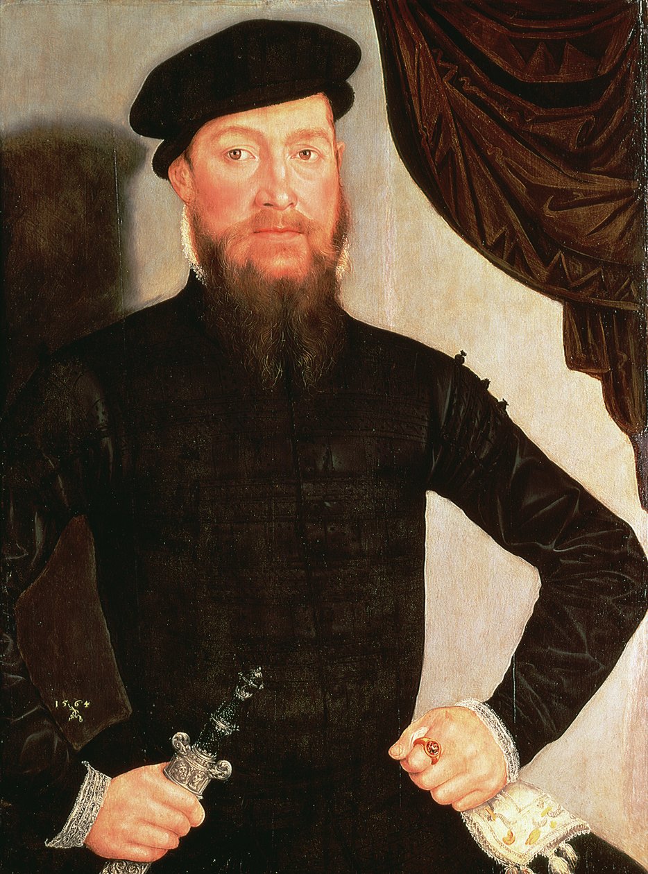 Portrét muže, 1564 (panel) od Lucas the Younger Cranach
