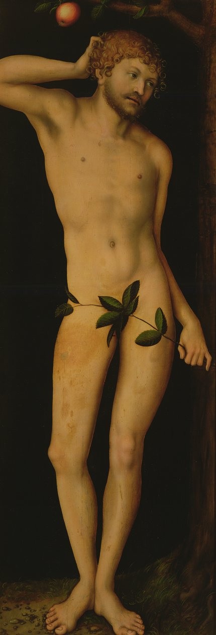 Adam, 1528 od Lucas Cranach the Elder
