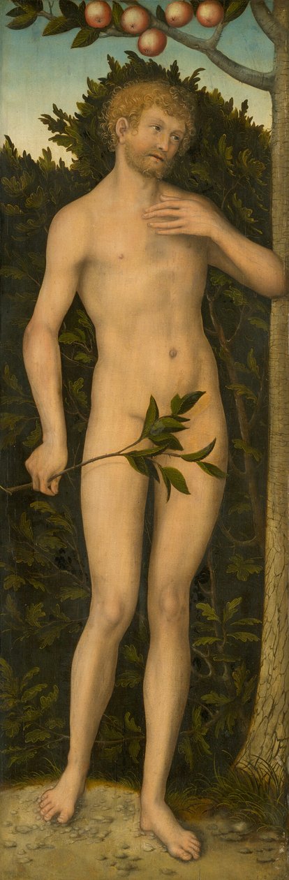 Adam od Lucas Cranach the Elder