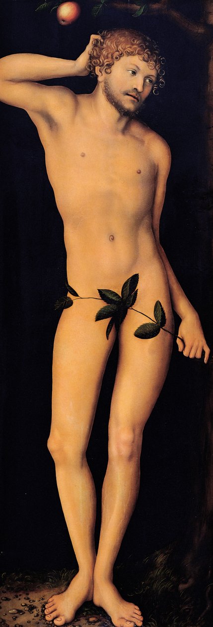 Adam, 1528. od Lucas Cranach the Elder