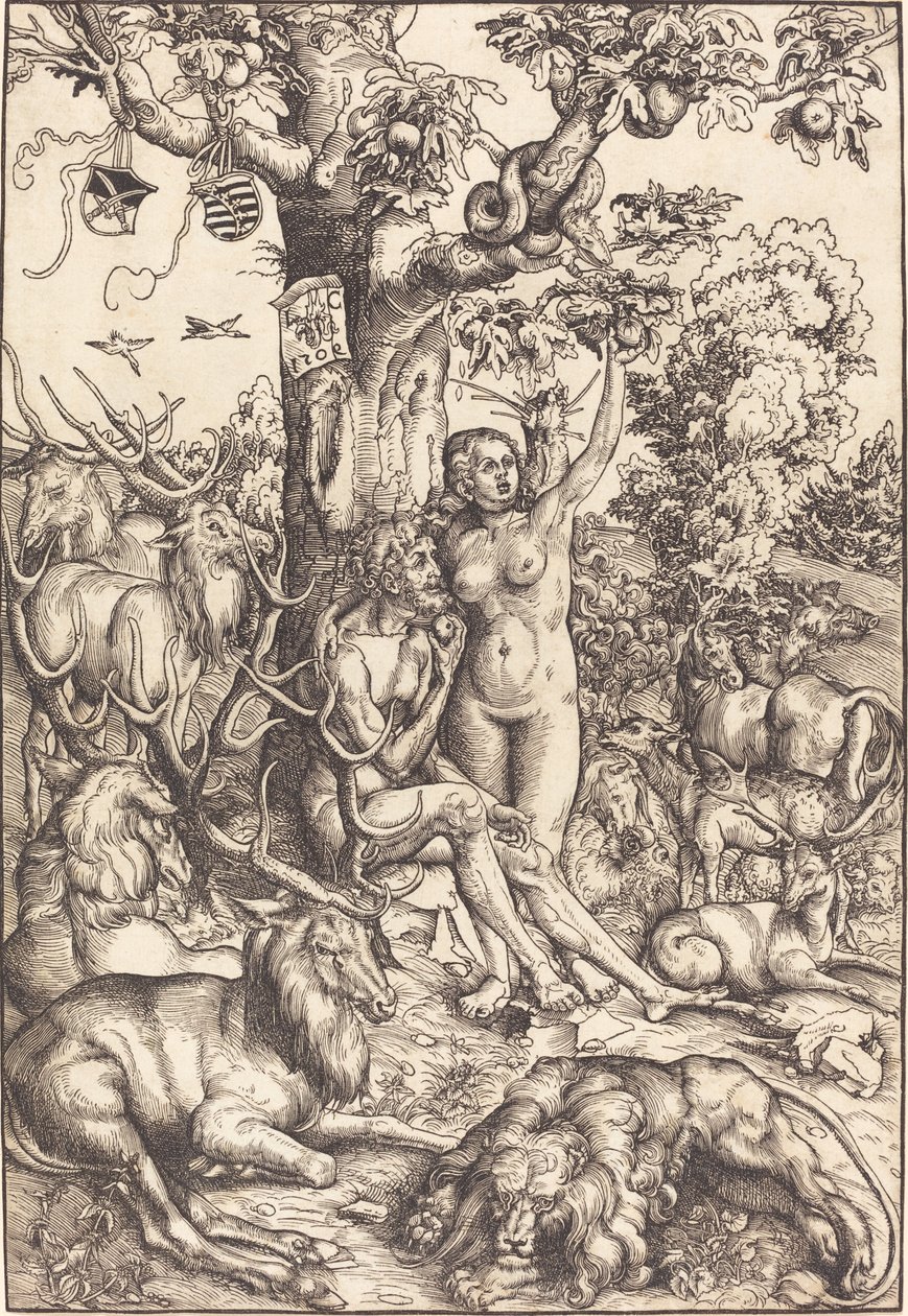 Adam a Eva v ráji od Lucas Cranach the Elder