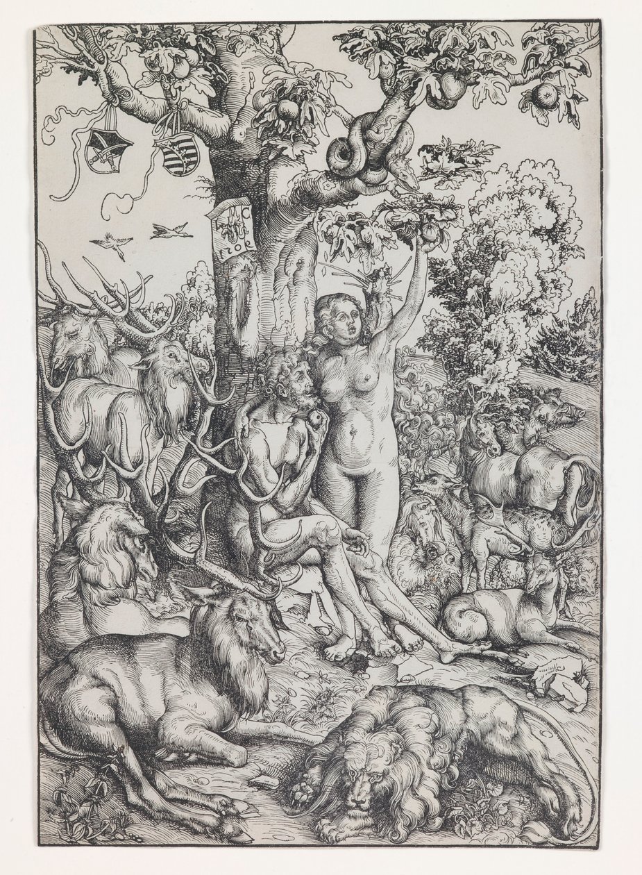 Adam a Eva v ráji od Lucas Cranach the Elder