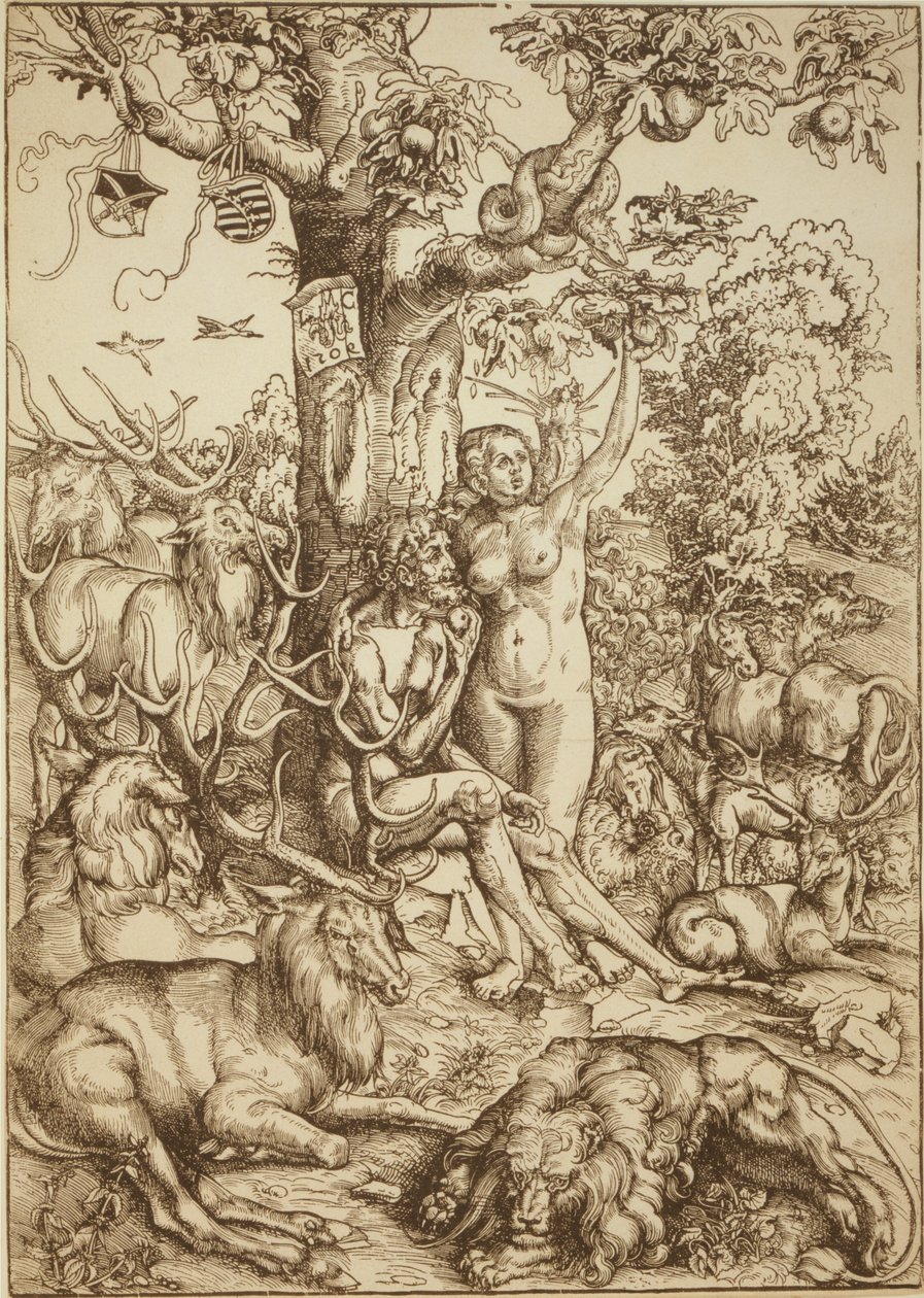 Adam a Eva v ráji od Lucas Cranach the Elder
