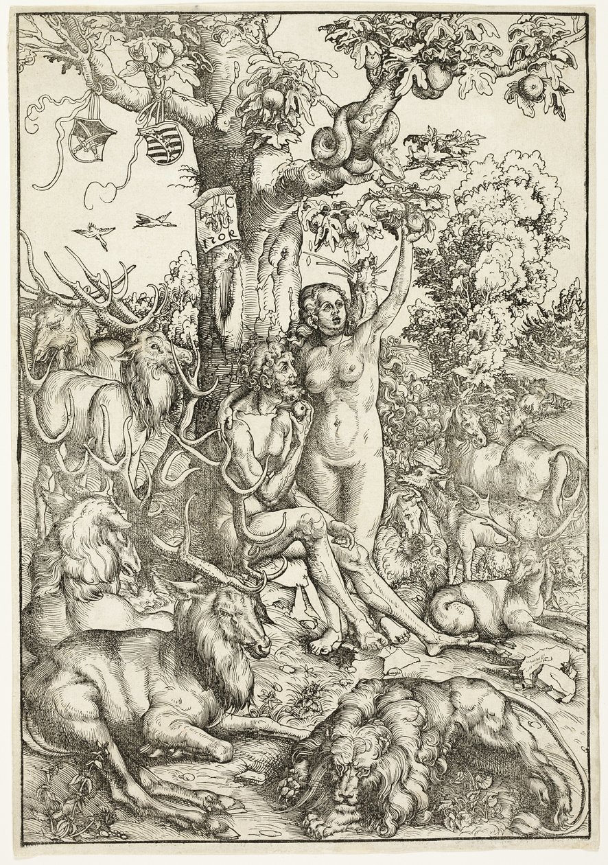 Pád člověka od Lucas Cranach the Elder
