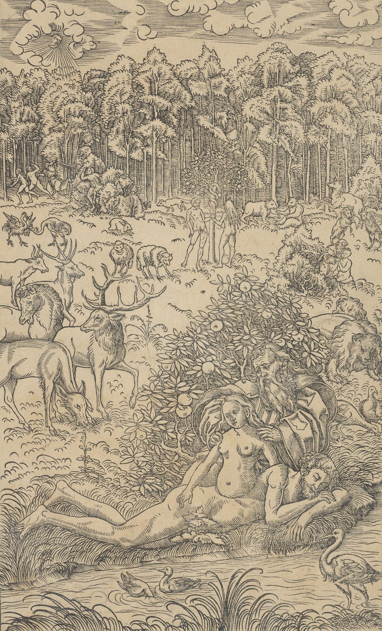 Stvoření Evy od Lucas Cranach the Younger  