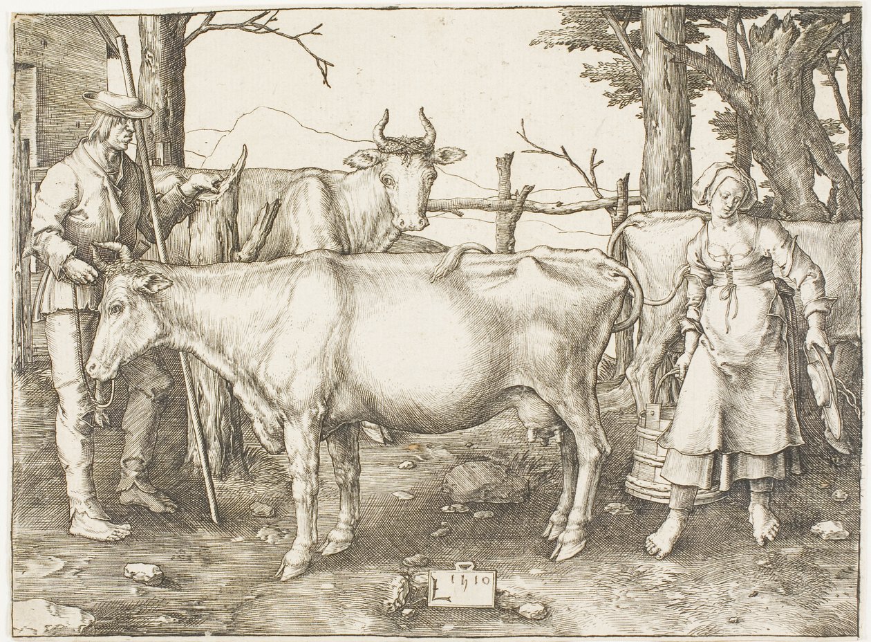 Dojička od Lucas van Leyden