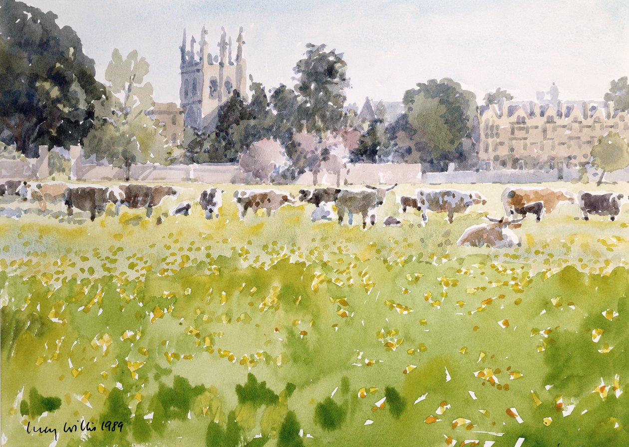 Looking Across Christ Church Meadows, 1989 (wc na papíře) od Lucy Willis