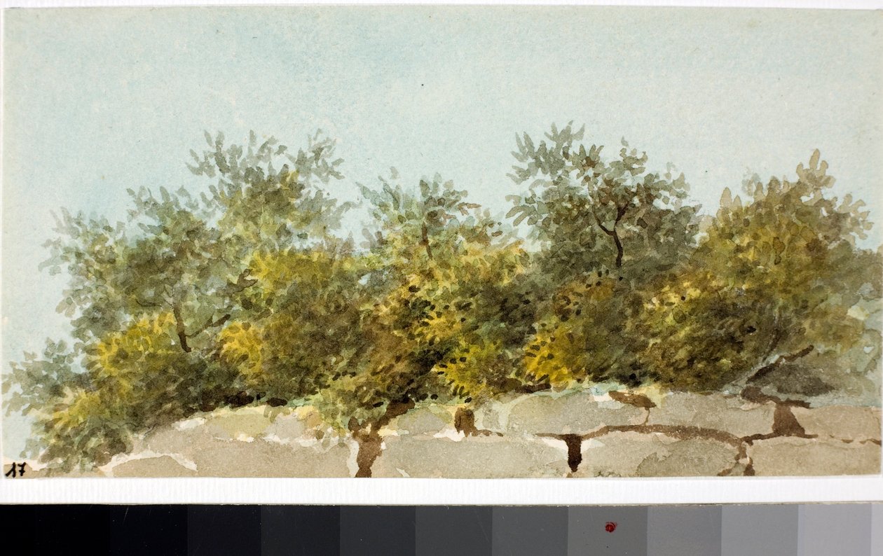 Olivy, země Ligurie (Akvarel, cca 1825) od Luigi Garibbo
