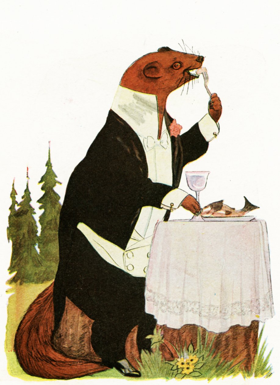 "Lord Vydra", 1913 od Martin Ross