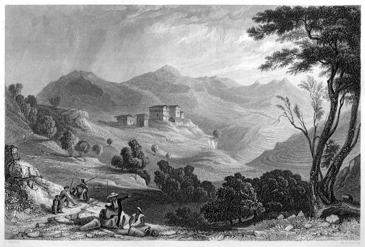 Vesnice Naree, Indie, c1860. od M. J. Starling