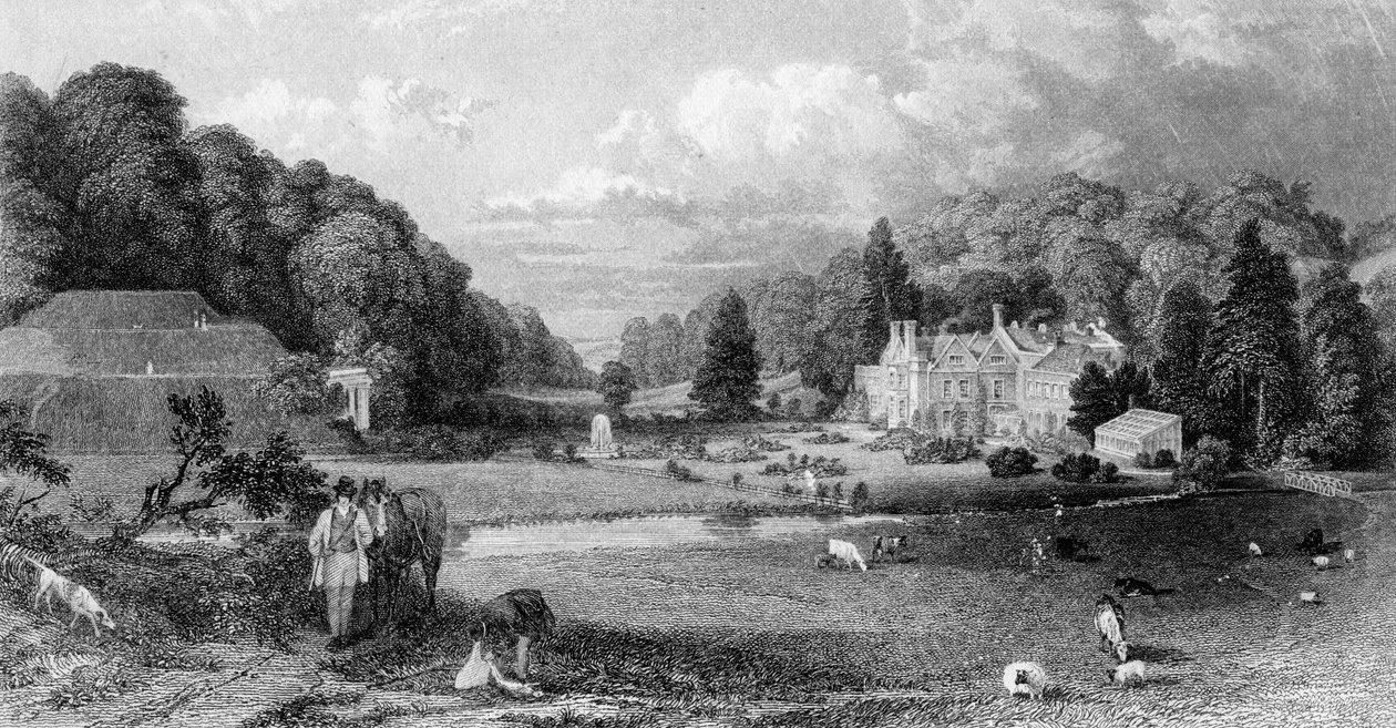 Wotton House, Surrey, 19. století. od M. J. Starling