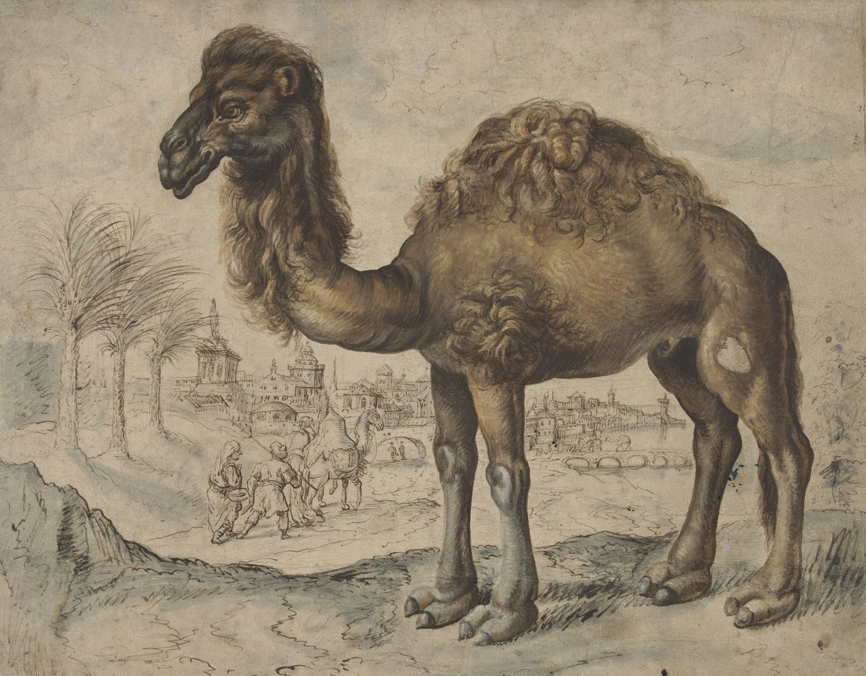Dromedár ve východní krajině s městem, 1600 (tuš a štětec na papíře) od Maarten de after Vos