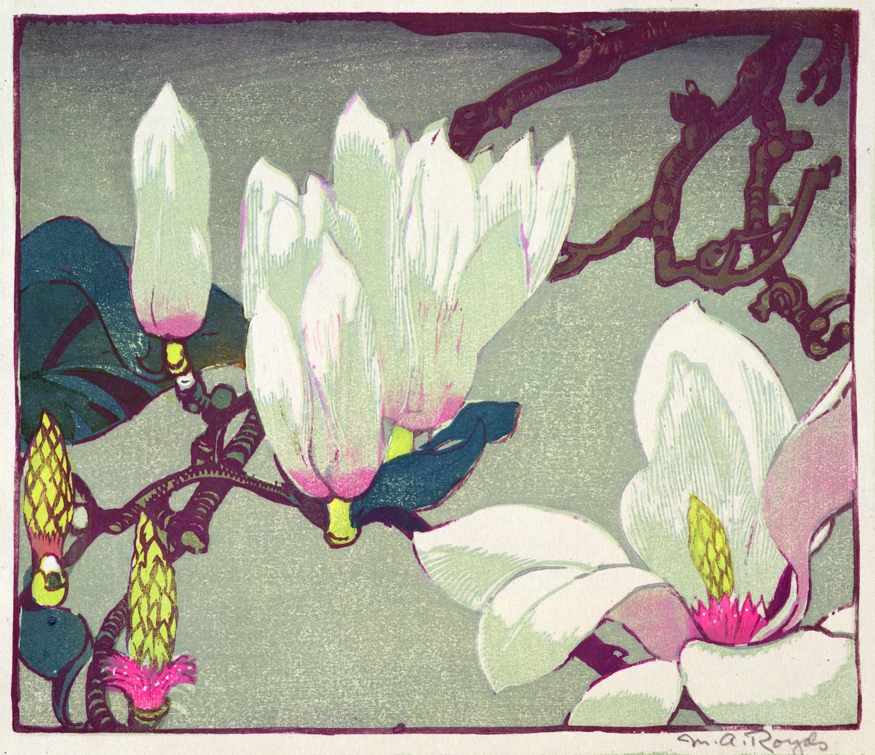 Magnolia, cca 1925 (dřevotisk) od Mabel Royds