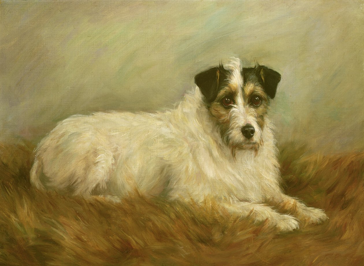 Teriér od Mabel Hastings