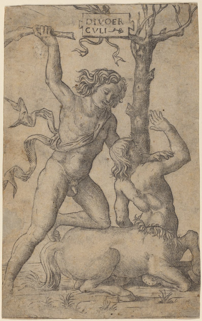 Herkules a Nessus od Marcantonio Raimondi