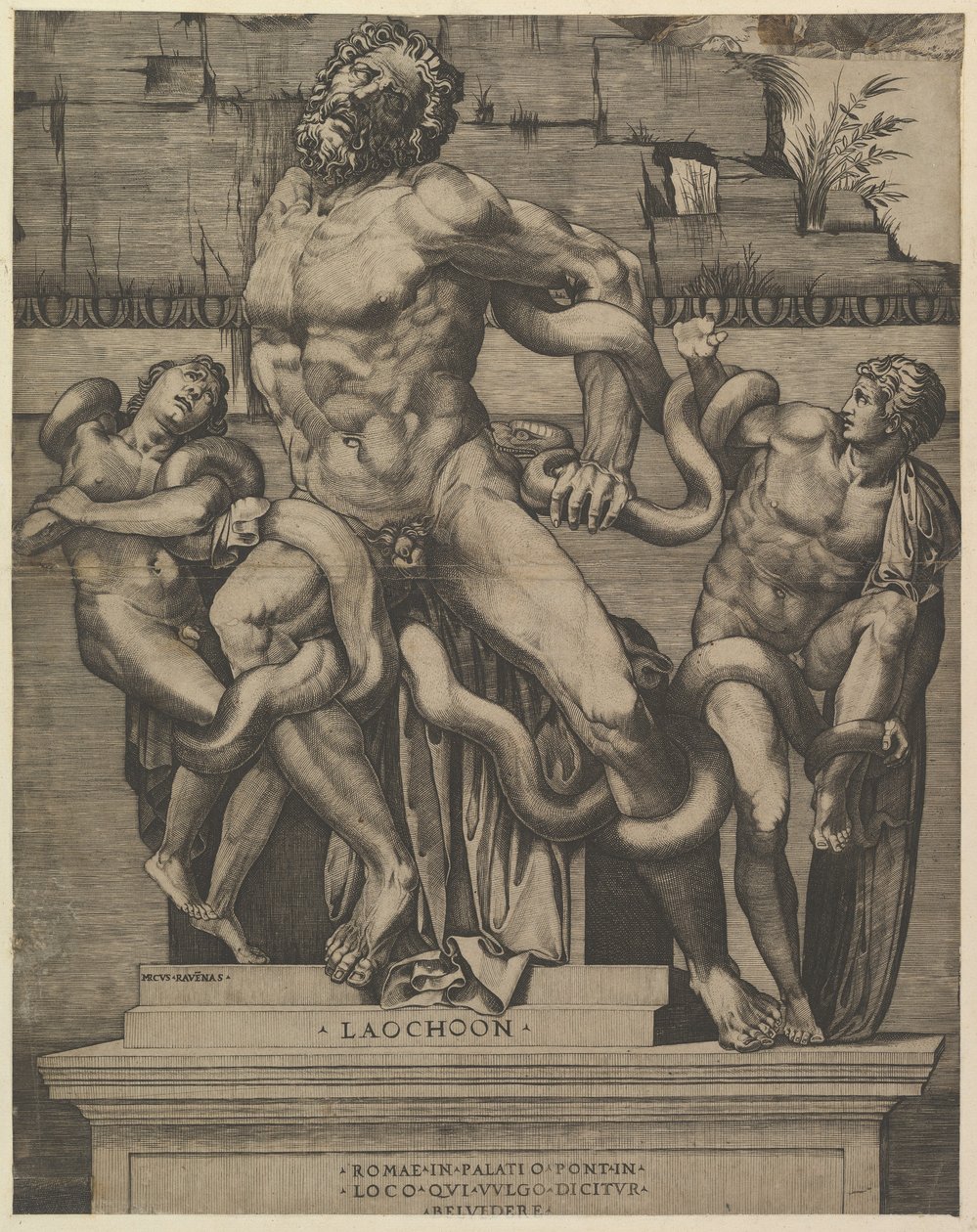 Zrcadlo římské velkoleposti: Laocoon, 16. století. od Marco Dente