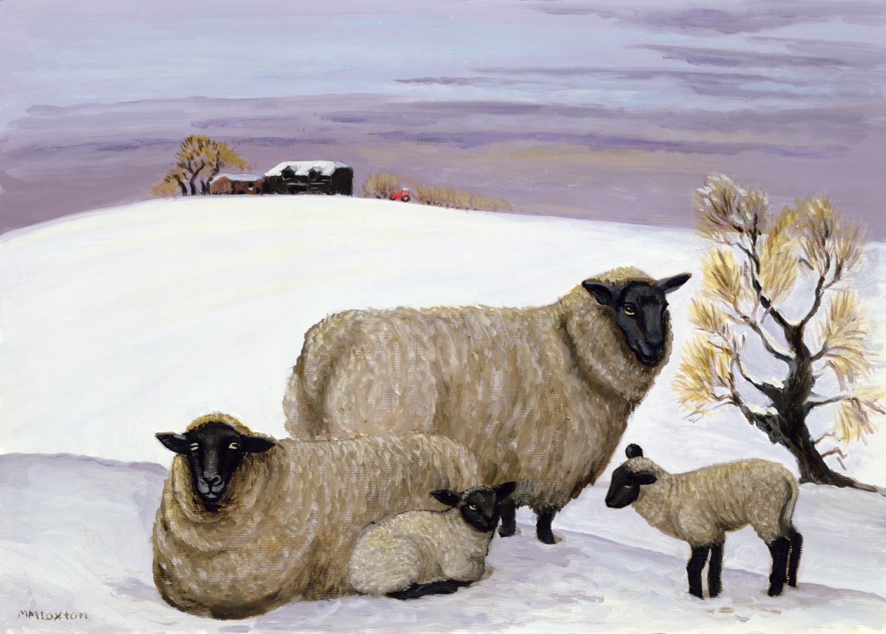 Ovce v zimě od Margaret Loxton