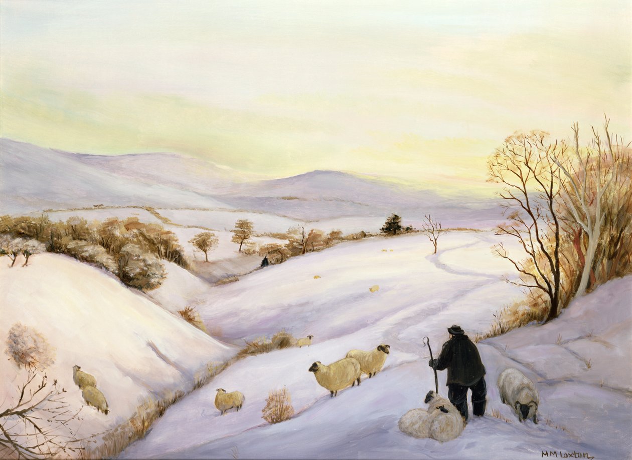 Ovce na hřebeni od Margaret Loxton