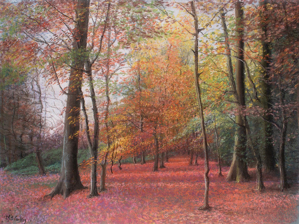 Podzim v lese, 1999 (pastel) od Margo Starkey