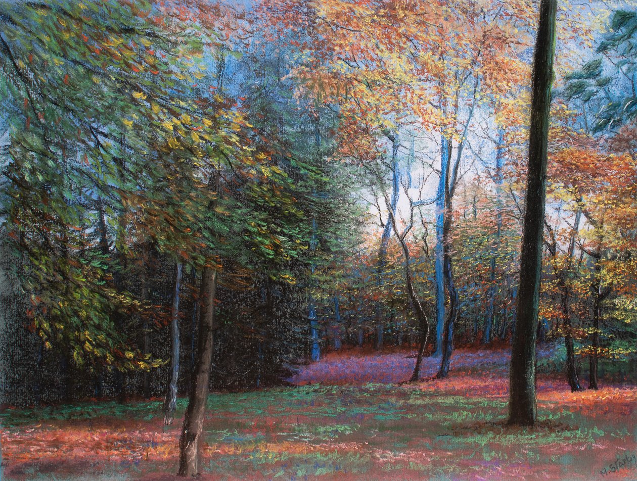 Podzim v lese, 1999 (pastel) od Margo Starkey