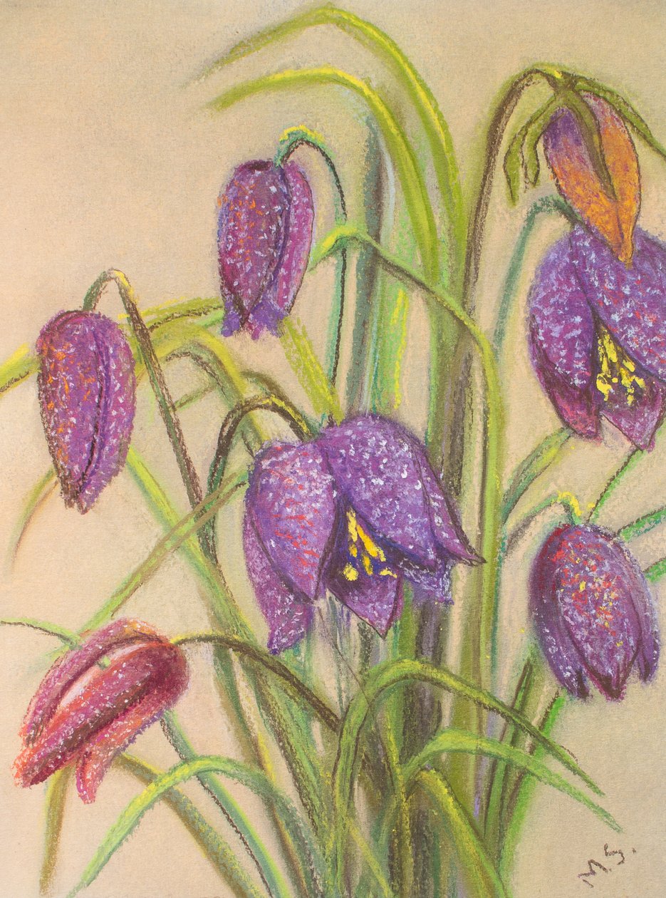 Bunch of Fritillaria, 2015 (pastel) od Margo Starkey