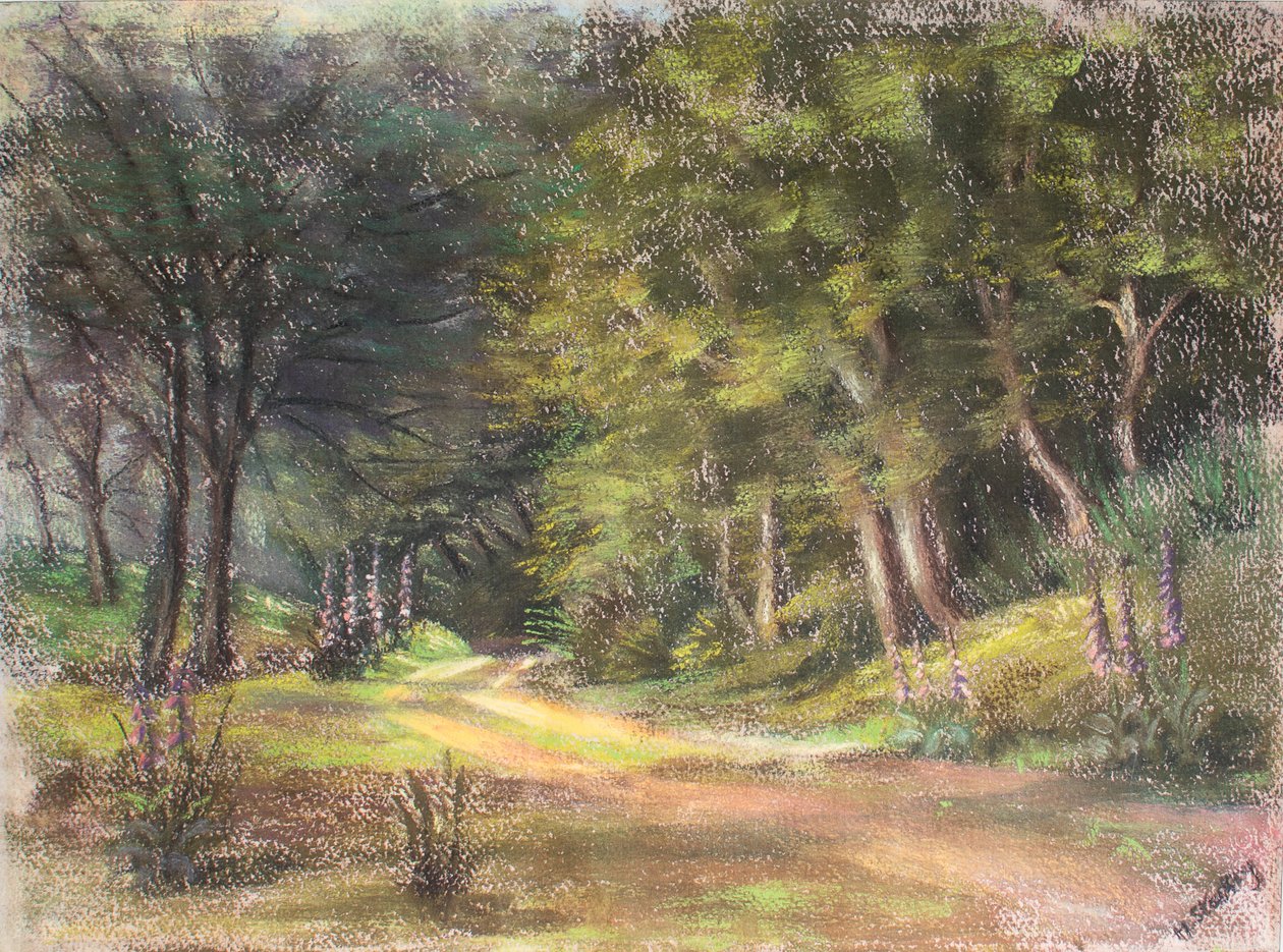 Walk in the Woods, Somerset, 1995 (pastel) od Margo Starkey