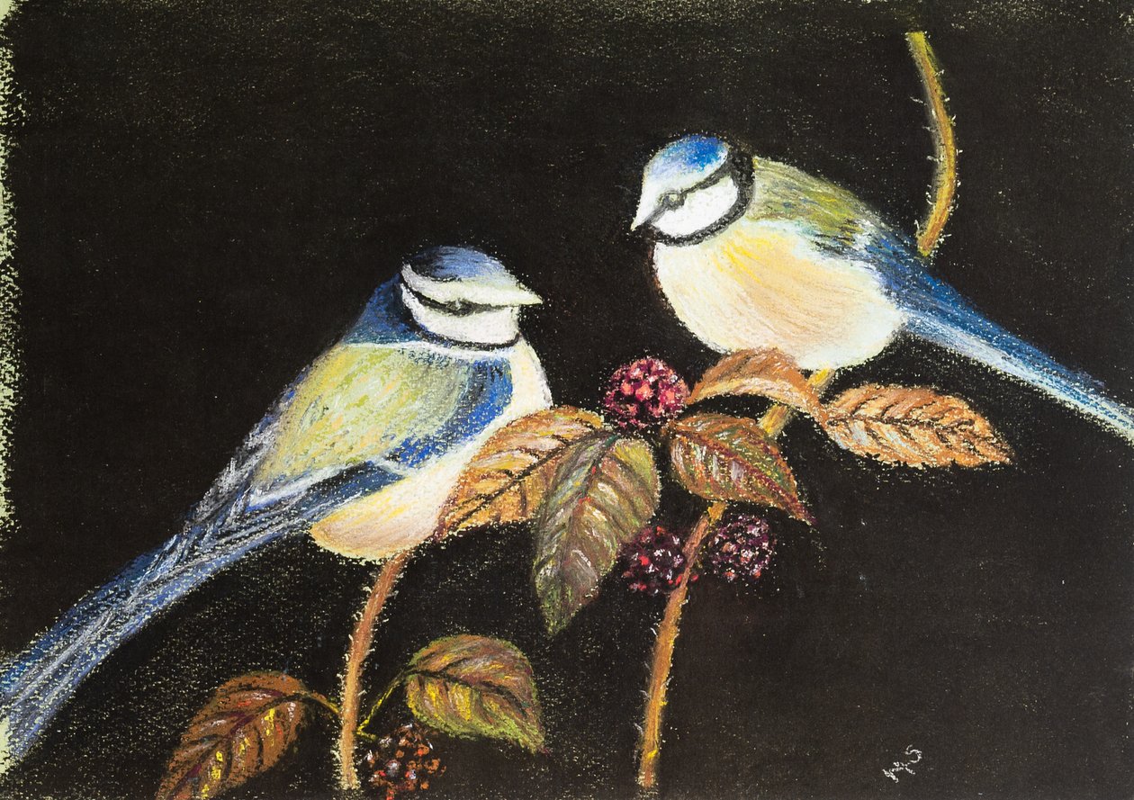 Modrá sýkora mají svátek, 2021 (pastel) od Margo Starkey