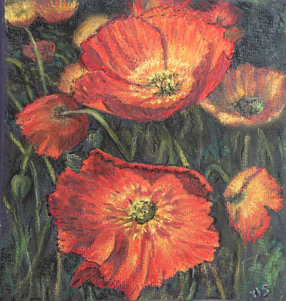 První mák, 2020 (pastel) od Margo Starkey