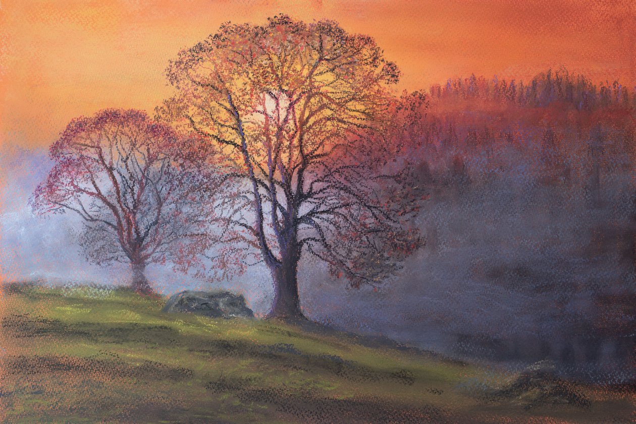 Slunce přes ranou mlhu, 2020 (pastel) od Margo Starkey