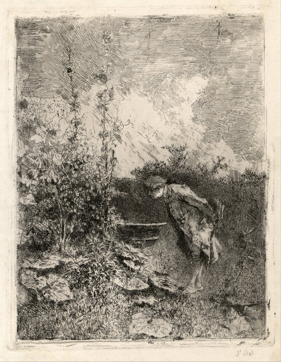 Botanik od Marià Fortuny
