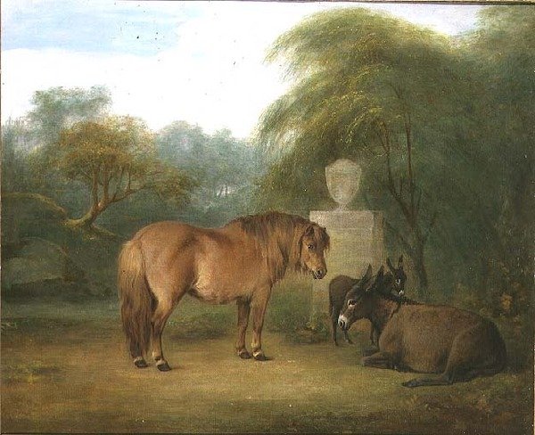 Poník a osli v pasece od Maria Spilsbury