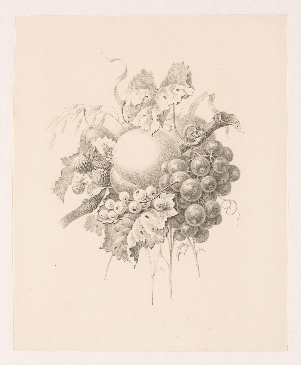 Složení ovoce od Maria Geertruida de Goeje Barbiers (attributed to)