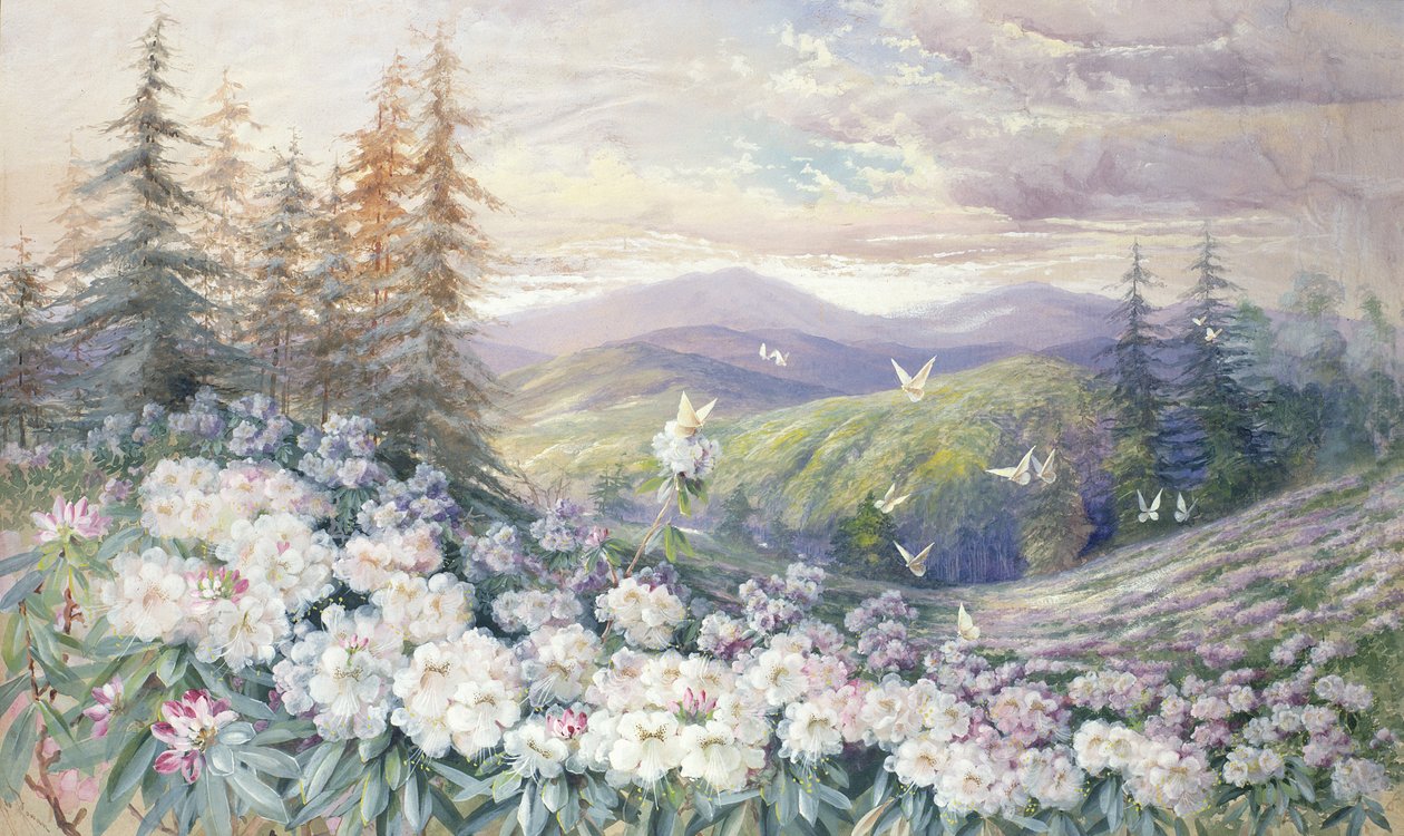 Jarní krajina od Marian Ellis Rowan