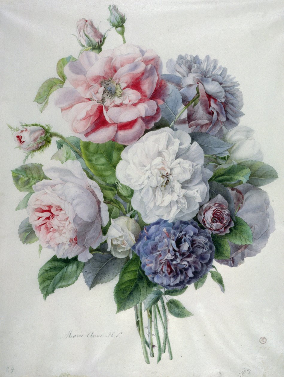 Květinové kousky od Marie Anne
